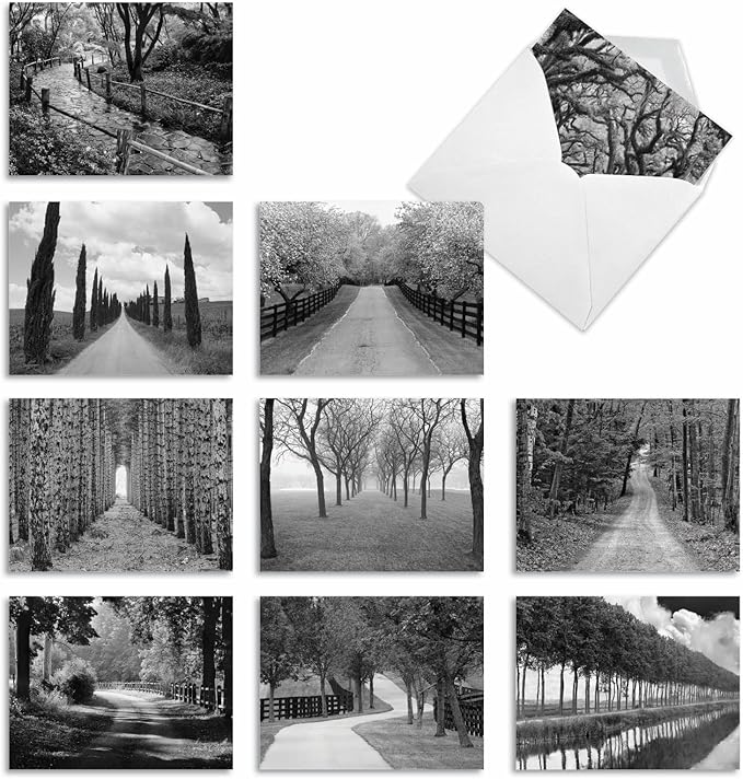 The Best Card Company - Box of 10 All Occasion Cards Blank (4 x 5.12 Inch) - Scenic Landscape Cards Assorted - Tree Lines M3313-NB
