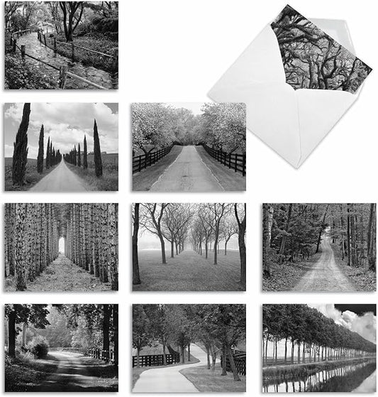 The Best Card Company - Box of 10 All Occasion Cards Blank (4 x 5.12 Inch) - Scenic Landscape Cards Assorted - Tree Lines M3313-NB