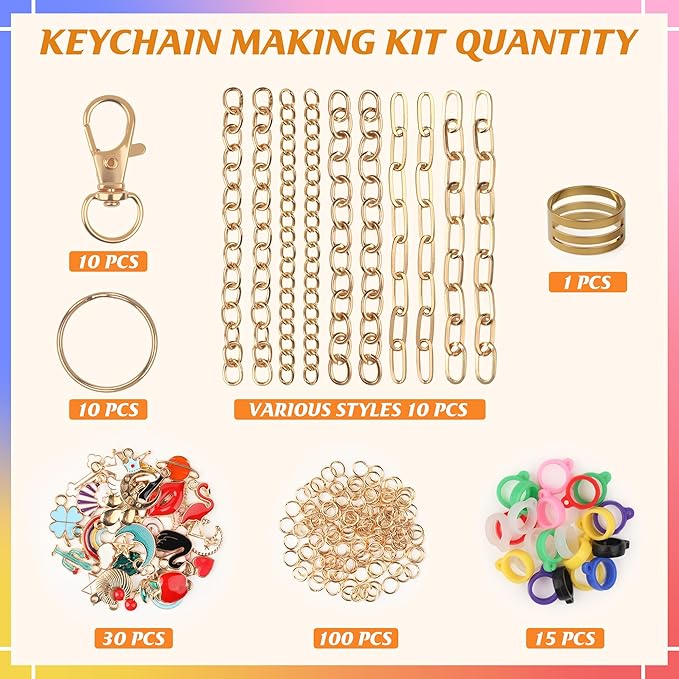 Starry 176 Pcs Keychain Making Kit,Including 10 Keychain Clips 10 Extender Chains 30 Charms Jewelry Plier, Bag Charm Kit Keychains Making Supplies for DIY Crafting and Jewelry Making