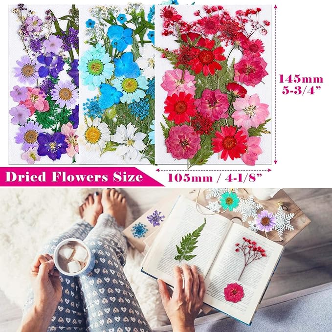 Thrilez 100Pcs Dried Pressed Flowers for Resin Crafts, Small Dried Flower Natural Herbs Pressed for Scrapbooking Greeting Card DIY Bookmark Resin Epoxy Accessories Nails Decor Soap and Candle Making