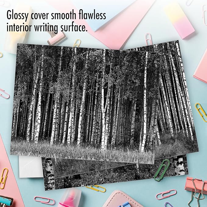 The Best Card Company - 10 Blank Note Cards with Envelopes (4 x 5.12 Inch) - Black & White Photos, Bulk Boxed Set - Whitewoods M6451OCB