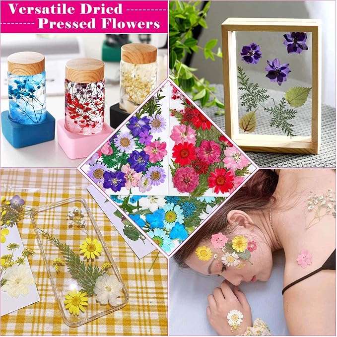 Thrilez 100Pcs Dried Pressed Flowers for Resin Crafts, Small Dried Flower Natural Herbs Pressed for Scrapbooking Greeting Card DIY Bookmark Resin Epoxy Accessories Nails Decor Soap and Candle Making