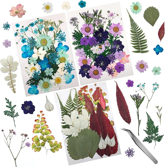 Cinvo 90 Pcs Real Dried Pressed Flowers and Leaves Natural Dried Petals for Candle Resin Jewelry Soap Nail Pendant Phone Case Crafts Making Floral Decors Scrapbooking DIY(Blue, Purple, Pink, Green)