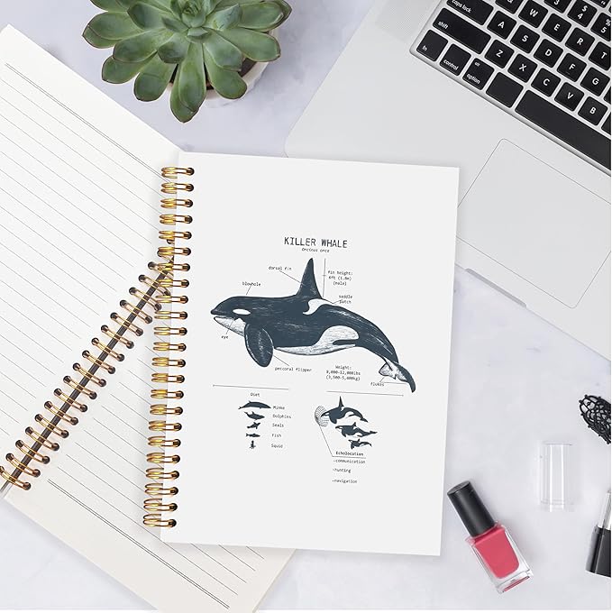 Killer Whale Notebook Journal for Note Taking, Marine Biology Gifts, Ocean Animal Beach Spiral Notebook, Ocean Themed Gifts, 5.5x8.3 Inch