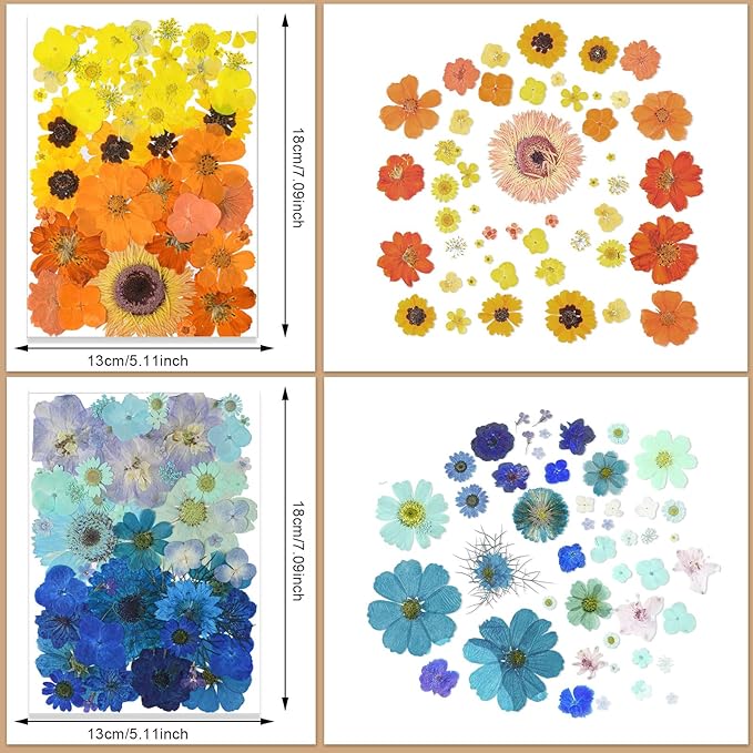 Nuanchu 200 Pcs Pressed Flowers Bulk Dried Flower for Craft Resin Mold Bookmark Scrapbooking Nail Cake White Orange Natural Pressed Dried Floral with Tweezer DIY Gift(Bright Color,Natural Style)
