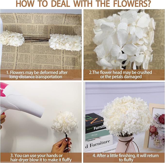 5 PCS Dried Preserved White Hydrangea Flowers - Length 14'' Corolla Size 3''-4'' Real Hydrangeas Petals Handmade for Vase, Arrangement Boho Style Home House Office Wedding Shower Valentine's Decor