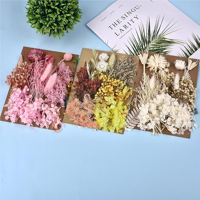 DALARAN 3 Pack Dried Flowers for Candle Making DIY Pressed Dried Flowers Multiple Natural Pressed Flowers Colorful Decorative Dried Pressed Fowers for Crafts