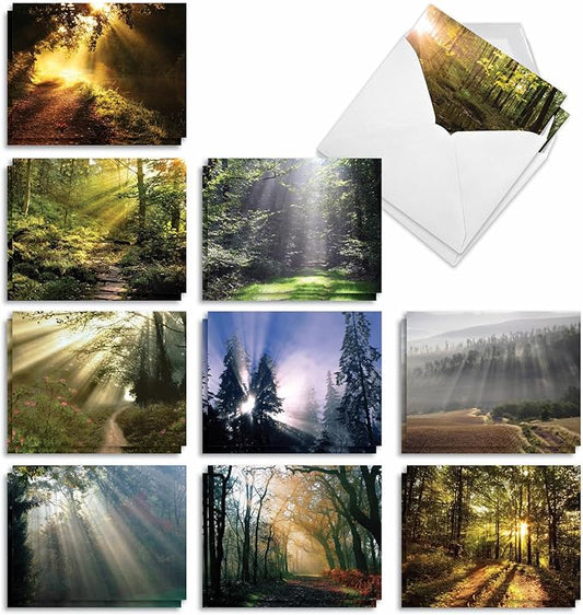 The Best Card Company - 20 Landscape Nature Note Cards Blank (4 x 5.12 Inch) (10 Designs, 2 Each) - Shining Through AM1735OCB-B2x10-NB