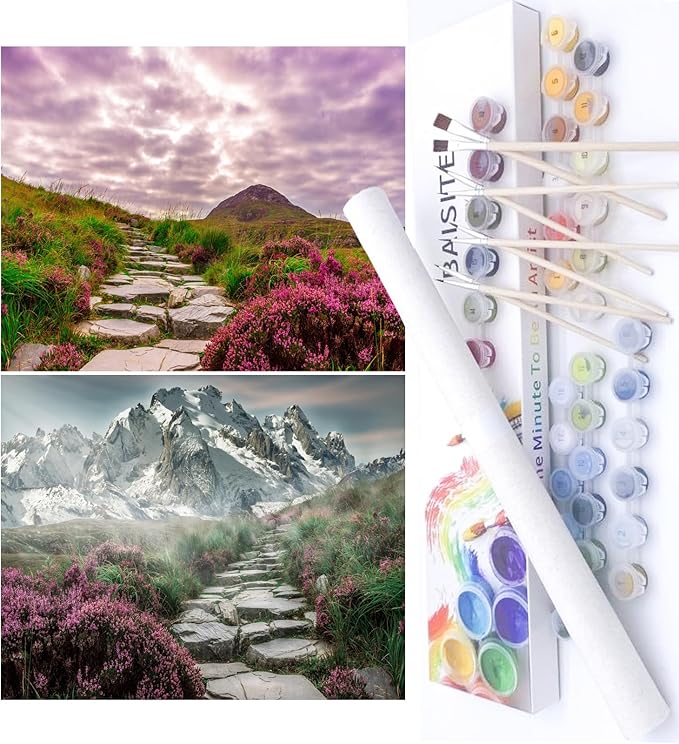 BAISITE Paint by Numbers Kit for Adults Beginners,16" Wx12 L 2 Pack Canvas for Painting Kits for Adults in Colorful Box-BAIPBN655-656