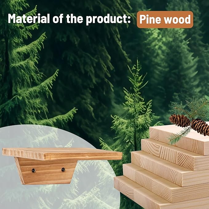 PHOENANCEE Small Floating Shelves,Speaker Shelf,Trapezoid Wall Shelf for Table Lamp Plants Display,Decorative Wood Ledges Chic for Living Room,Bedroom,Kitchen,Pine,8x6 Inch,4 Pack(Carbonized Brown