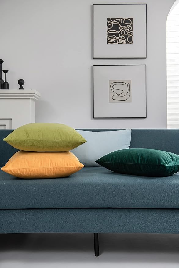 Couch Pillow Cases 22x22 Chartreuse: 2 Pack Cozy Soft Velvet Square Throw Pillow Covers for Farmhouse Home Decor