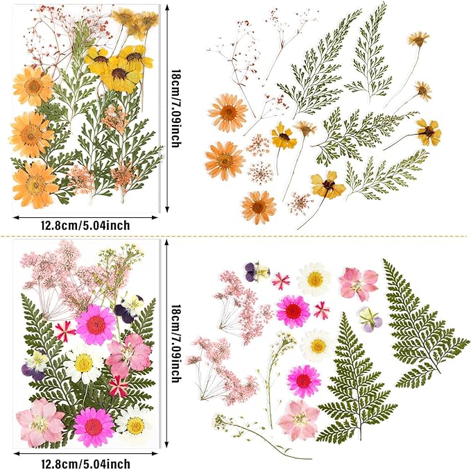 Nuanchu Pressed Flowers for Crafts Resin Dried Flower Bulk White Natural Dried Wildflowers Daisy with Tweezer for Resin Mold Candles Cake DIY Christmas Craft Card Making Wedding Scrapbooking Supplies
