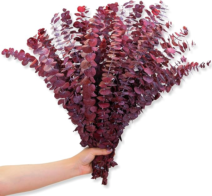 26Pcs Real Dried Fall Eucalyptus Stems, 17" Red Preserved Eucalyptus Stems for Vase, Home Decor, Farmhouse, Autumn Dried Flowers Table Centerpiece Arrangement