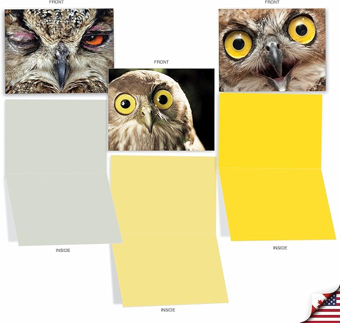 The Best Card Company - 10 Bird Note Cards Blank (4 x 5.12 Inch) - All Occasion Cards with Envelopes, Boxed Set - What a Hoot M1769BN