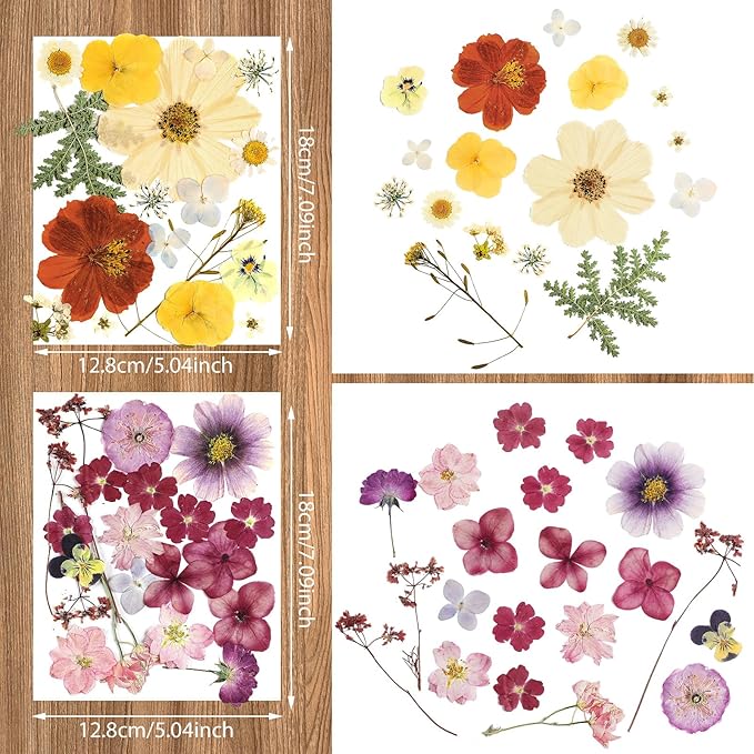 Nuanchu Dried Pressed Flowers for Crafts Resin Pressed Flowers Bulk Purple Dried Wildflowers Leave Natural with Tweezer DIY Christmas Crafts Supplies for Resin Mold Scrapbooking Nail Soap Making
