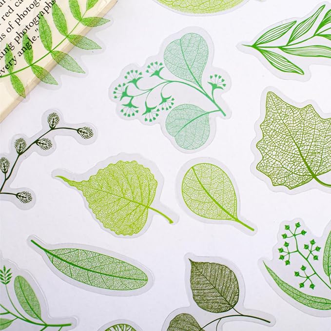 120 Pieces Leaf Vein Theme PET Stickers Set, 6 Pack Nature Ephemera for Scrapbooking, Journaling, DIY Crafts, and Art Supplies