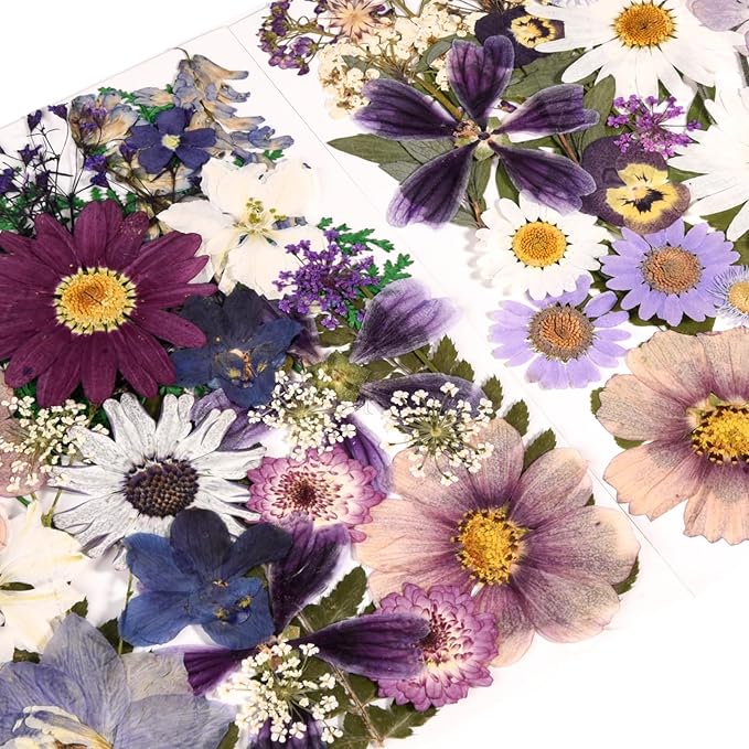 80PCS Natural Color Pressed Dried Flowers Dry Leaves with Tweezers - Real Pressed Flowers for DIY Crafts, Resin Jewelry, Cards, Soap, CandleMaking, Nail Art, and Scrapbooking (Natural Color)