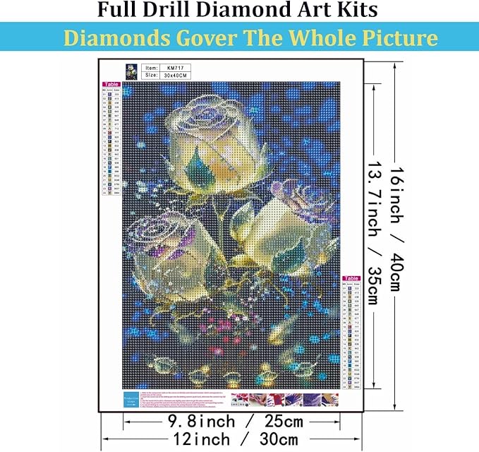 Mosaflare 5D Diamond Painting Kits for Adults, Valentine's Day Rose Diamond Art for Beginners, DIY Full Round Drill Paint by Diamonds Dot Gem Art for Adults, Home Wall Decor 12x16 Inch