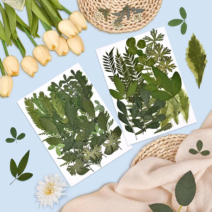 DALARAN 42 PCS Dried Flowers for Craftsl Dried Pressed Leaves Natural Leaves for Pressed Leaf Art Craft DIY ,14 Styles