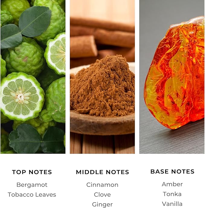 Brilliant Scents Nightfall Fragrance Oil 120ml - Premium Diffuser Oil for Home, Office, Hotels - Long Lasting, Plant-Based, Meets IFRA Standards, USA-Made - Tobacco, Clove, Vanilla