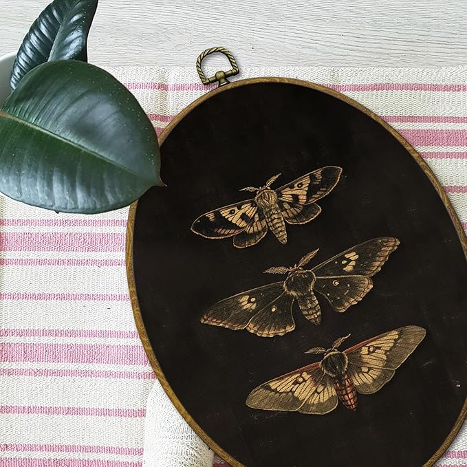 Mcehtle Dark Moody Moth Wall Art Decor, Dark Academia Butterfly Framed Canvas Prints 8.6x11.4, Vintage Cottagecore Moth Wall Hanging Artwork Decorations for Gallery Home Bedroom Livingroom