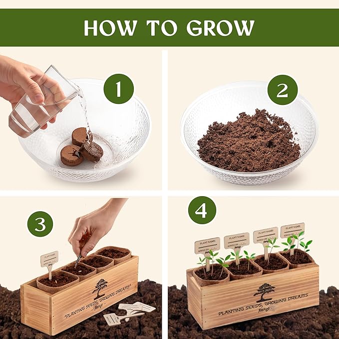 Avergo Bonsai Tree Kit – 4X Unique Japanese Bonzai Trees | Complete Indoor Starter Kit for Growing Bonsai Plants with Tools & Planters – Gardening Gifts for Women & Men