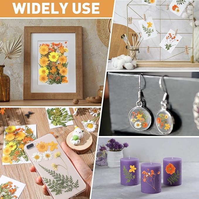 Nuanchu Dried Flower for Crafts Resin Pressed Flowers Bulk Real Dried Wildflowers Leave Natural with Tweezer for Resin Mold Scrapbooking Nail Soap Candle Cake Card Making DIY Christmas Craft Supplies