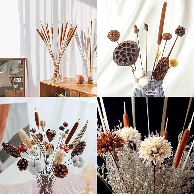 Dried Natural Cattails - 20PCS Jumbo Size for DIY Floral Arrangements and Home Office Decor - 0.75" Dia - 24 Inch Length