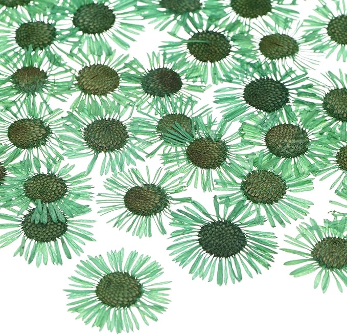 12-Pack Dried Pressed Flowers for Resin, Real Natural Bulk Dry Floral for Crafts/DIY Jewelry/Soap Making/Scrapbooking/Candle/Epoxy Resin Supplies/Photo Frames [Green]