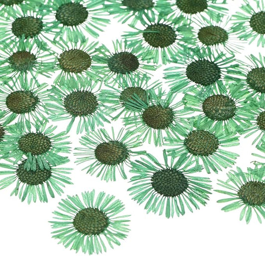 12-Pack Dried Pressed Flowers for Resin, Real Natural Bulk Dry Floral for Crafts/DIY Jewelry/Soap Making/Scrapbooking/Candle/Epoxy Resin Supplies/Photo Frames [Green]