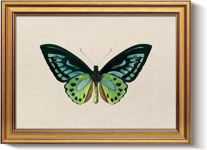 Bzstyleart Vintage Wall Art Decor,Vintage Gold Framed Wall Art,Green Butterfly Frmaed Artwork for Office,Aesthetic Canvas Picture Print,Painting for Bedroom Living Bathroom,Halloween Pictures Framed,12 x 16 Inch