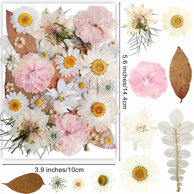 13 Types 37pcs White Dried Pressed Flowers for Resin Molds,Real Natural Pressed Flowers for DIY Art Crafts,Candle Making, Nails Décor,Soap Making, Phone Case