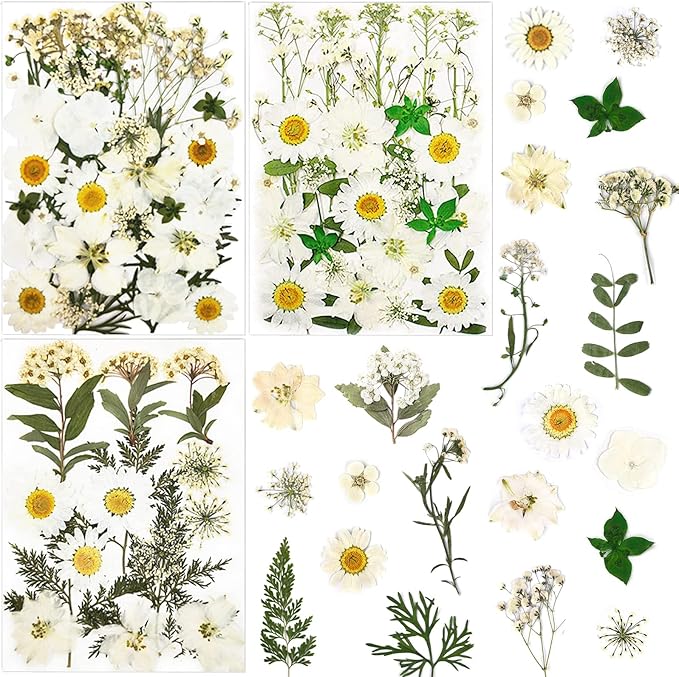 86Pcs White Pressed Dried Flowers Real Natural Leave for DIY Resin Molds Candle Jewelry Nail Crafts Gifts
