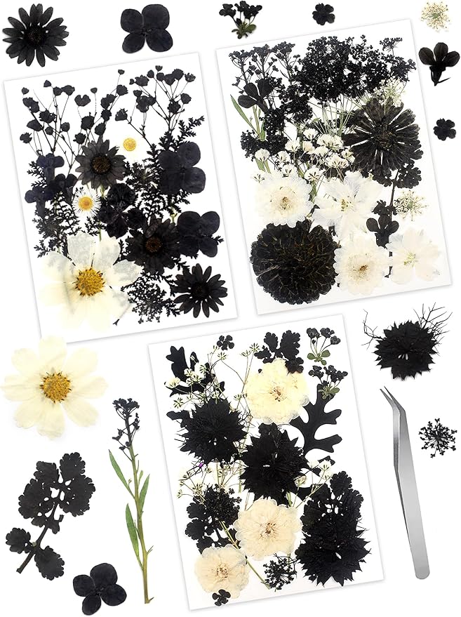 Real Dried Pressed Leaves Natural Dried Leaf for Candle Resin Jewelry Soap Nail Pendant Phone Case Crafts Making Floral Decors Scrapbooking DIY (63 Pcs Black Dried Leaves)