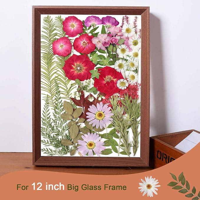 A5 Large Bulk Christmas Dried Pressed Flowers for Christmas Decor, Real Dry Natural Flower Leaf Daisy for Resin Mold, Cake Decor, Phone Cases ( Romantic Rose)