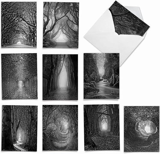 The Best Card Company - 10 Blank Note Cards with Envelopes (4 x 5.12 Inch) - Black & White Photos, Bulk Boxed Set - Pathways AM6280OCB-B1x10