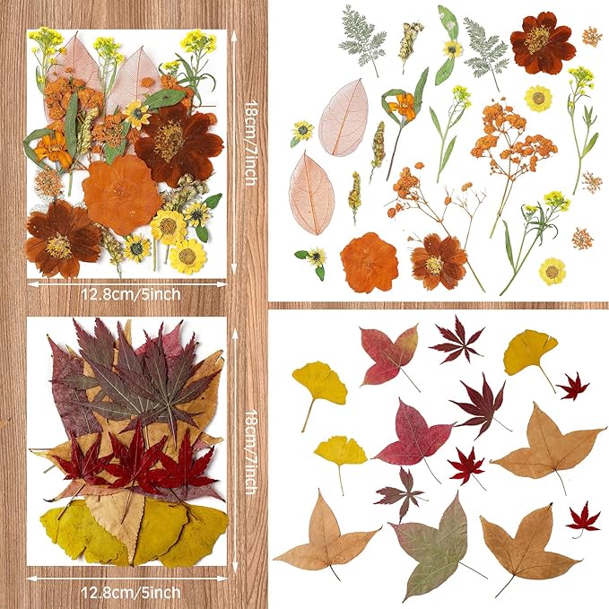 Nuanchu Fall Pressed Flowers Bulk Dried Flower for Crafts Autumn Orange Dried Wildflowers Natural Leave with Tweezer Fall Craft Supplies for Resin Mold Scrapbooking Nail Soap Making DIY Art Crafts