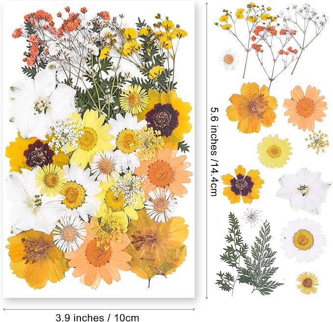 YouthBro Dried Pressed Flowers for Resin Molds,Real Natural Pressed Flowers for DIY Art Crafts,Candle Making, Nails Décor,Soap Making, Phone Case Yellow White