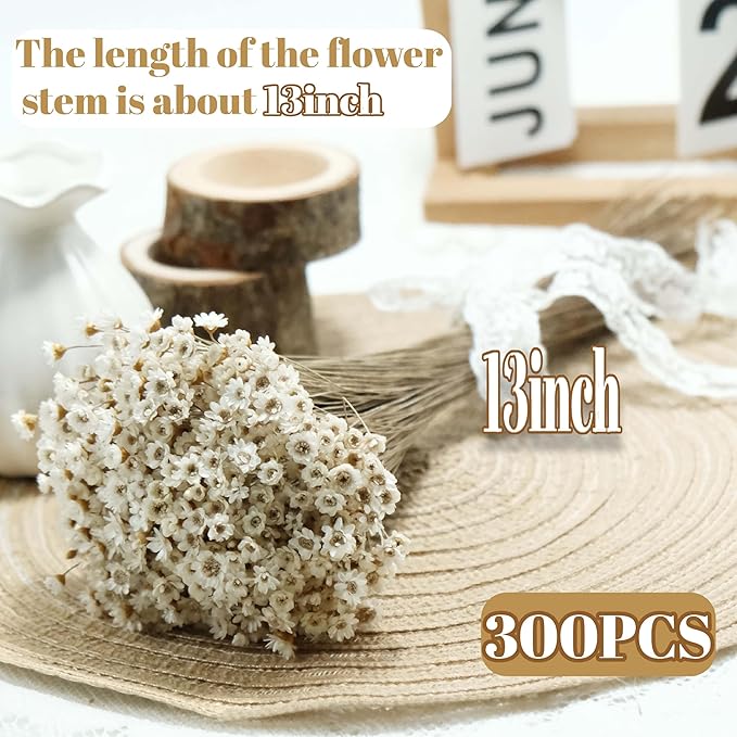 300 PCS Natural Dry Flowers Brazilian Small Star Daisy,13'' White Mini Daisy Chamomile, Dried Daisy Flowers Bouquet for Wedding, Home Decorations, Christmas, Floral Arrangements