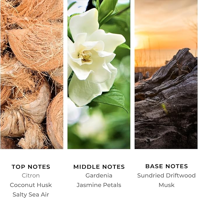 Brilliant Scents Caribbean Sunset Fragrance Oil 120ml - Premium Diffuser Oil for Home, Office, Hotels - Long Lasting, Plant-Based, Meets IFRA Standards, USA-Made - Coconut, Gardenia, Driftwood