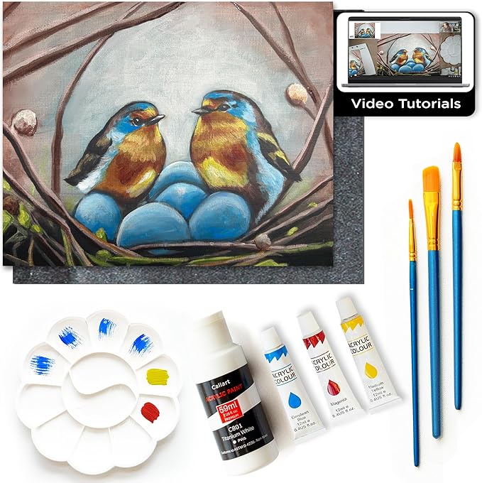 DIY Painting Class Kit for Adults with Video Tutorials: Learn to Paint Nesting Birds – How to Paint with Acrylics – Painting & Art Supplies – 9 Piece Acrylic Paint Set