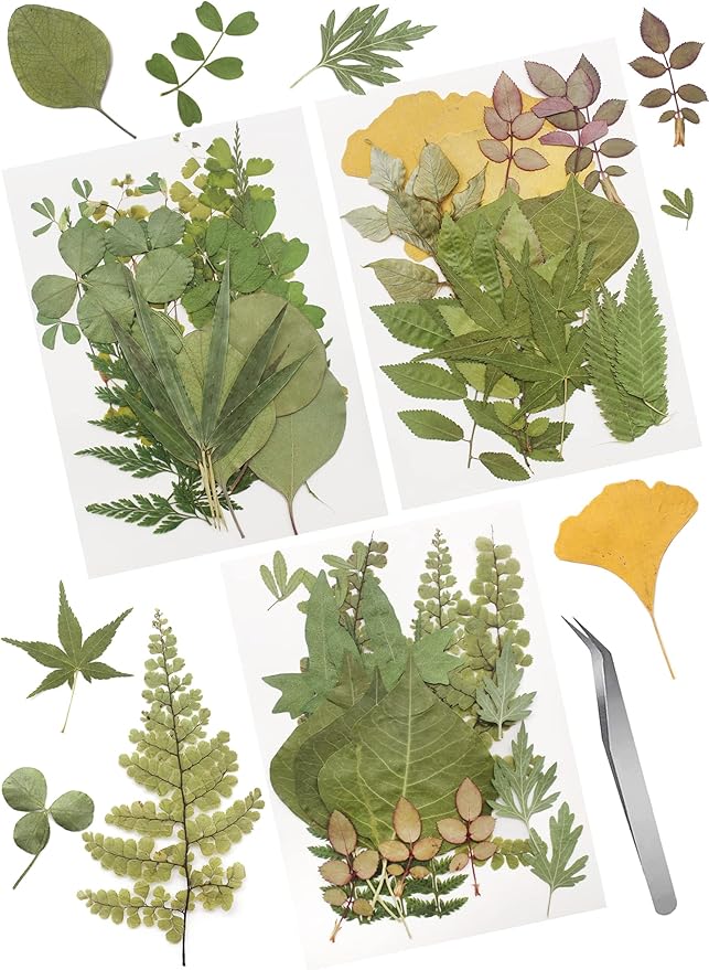 Cinvo 63 Pcs Real Dried Pressed Leaves Natural Assorted Dried Greenery with Tweezer for Resin Candle Jewelry Soap Nail Pendant Phone Case Art Craft DIY Embellishment Decorations(2023