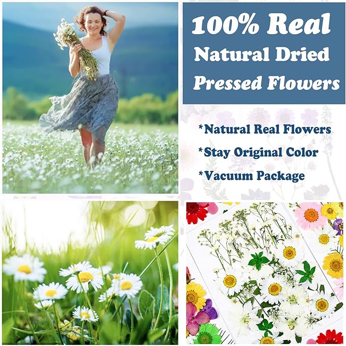 86Pcs White Pressed Dried Flowers Real Natural Leave for DIY Resin Molds Candle Jewelry Nail Crafts Gifts