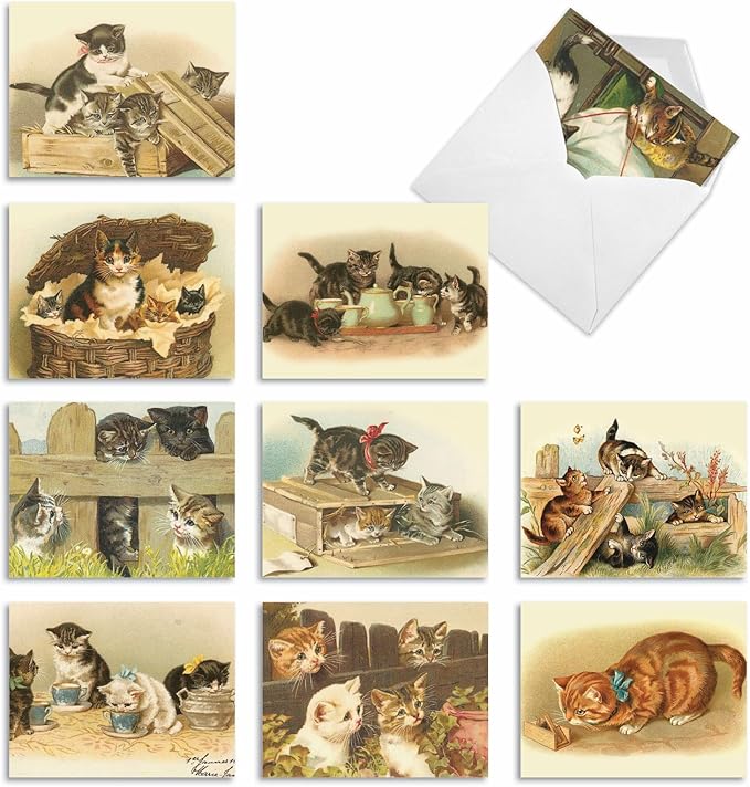 The Best Card Company - 10 Adorable Blank Cat Cards (4 x 5.12 Inch) - Cute Pet Kittens, Assorted Bulk Notecard Set - Cutey Cats M1732BN