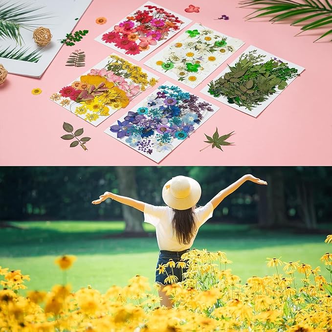 Dried Pressed Flowers, 170+ Pcs Mixed Dried Flowers for Resin, Bulk Natural Dry Floral Resin Fillers Decoration Accessories for DIY Crafts, Scrapbooking