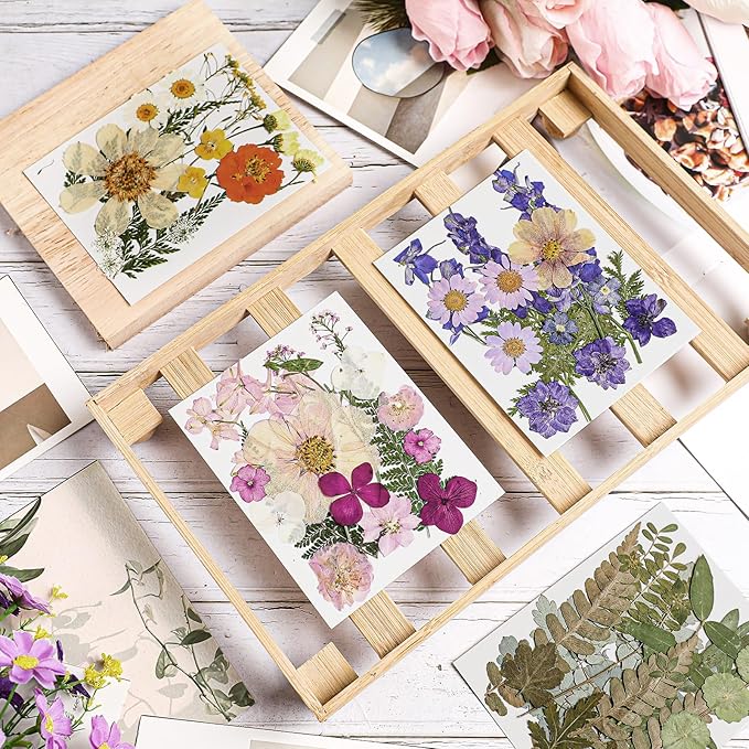 Nuanchu Dried Flower for Crafts Resin Pressed Flowers Bulk Real Dried Wildflowers Leave Natural with Tweezer for Resin Mold Scrapbooking Nail Soap Candle Cake Card Making DIY Christmas Crafts Supplies