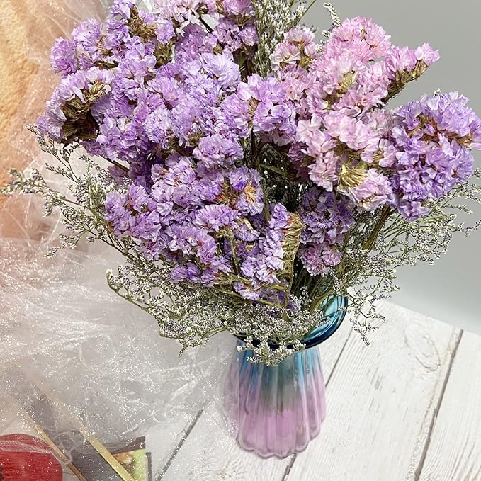 L'BREVOGA Dried Flowers with Stem, 16 inches Statice/Sea Lavender Dried Flower for Floral Arrangments Home Decoration (Statice)