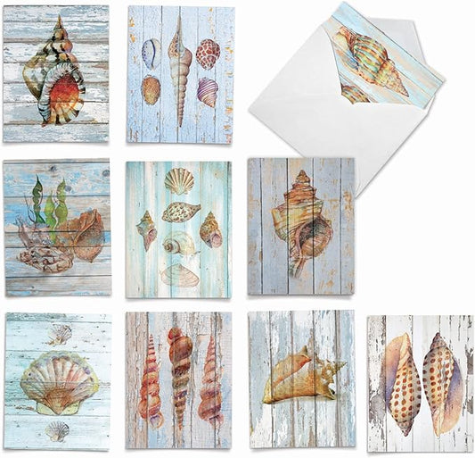 The Best Card Company - 10 Blank Note Cards with Envelopes (4 x 5.12 Inch) - Bulk All Occasion Cards Boxed - Seashell Driftwood AM6118OCB-B1x10