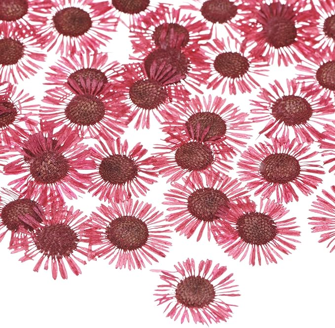 12-Pack Dried Pressed Flowers for Resin, Real Natural Bulk Dry Floral for Crafts/DIY Jewelry/Soap Making/Scrapbooking/Candle/Epoxy Resin Supplies [Red]