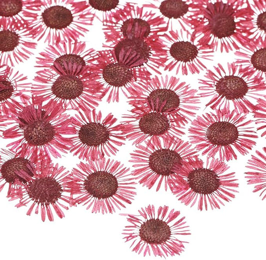 12-Pack Dried Pressed Flowers for Resin, Real Natural Bulk Dry Floral for Crafts/DIY Jewelry/Soap Making/Scrapbooking/Candle/Epoxy Resin Supplies [Red]
